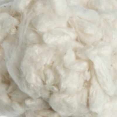 Silk Cocoons Silk Cocoons